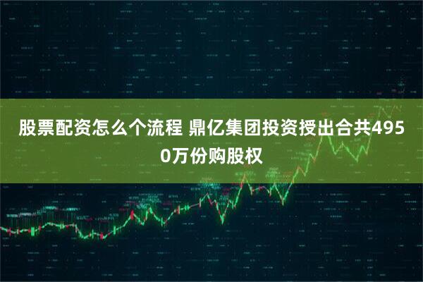 股票配资怎么个流程 鼎亿集团投资授出合共4950万份购股权
